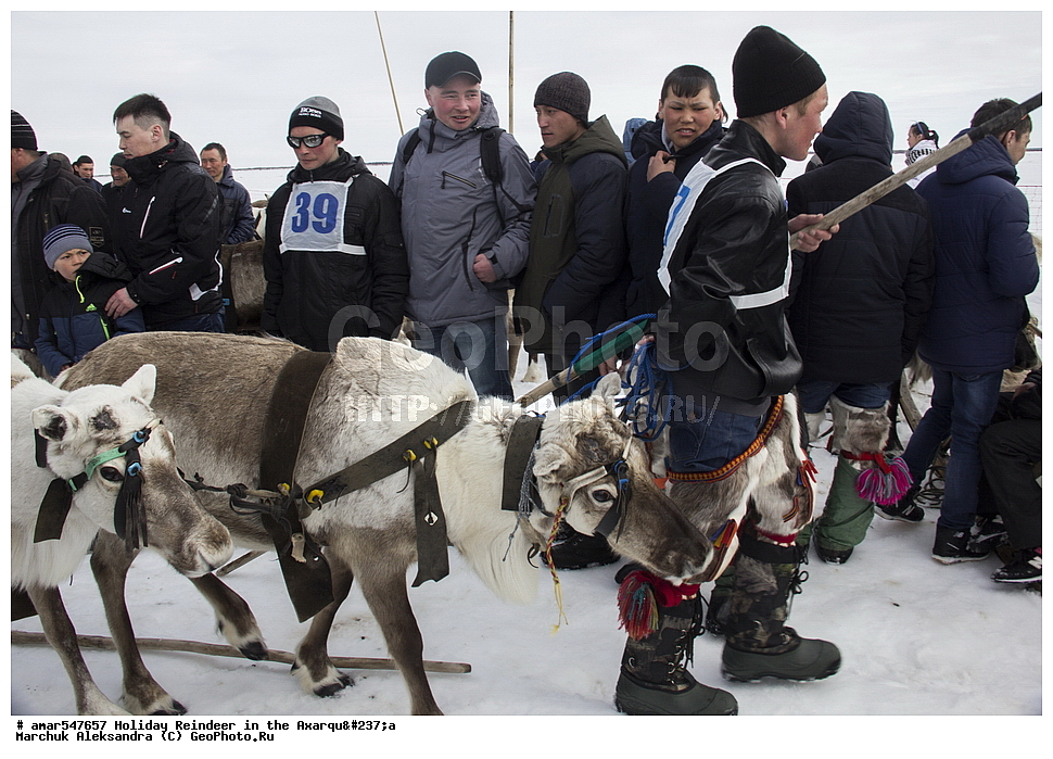  �������, ���, �������� ����, ������, �����, ����, ����� �����, �����, ����� �� ������� ��������, ����� �� ������, ������, �� �������� ����, ����, ����, ����, ������� ������, �����, ������������ ������, ������������ ��������, �������� ������, �����, ������, ���������, �����, �����, ������ �������, �������� ����, ��������, �������� ���������, �������� ������, �������� ���������, �������� �����, ����, ������������, �������, ����, �����, �������, �����, �����, �����-��������, �����-�������� ��������