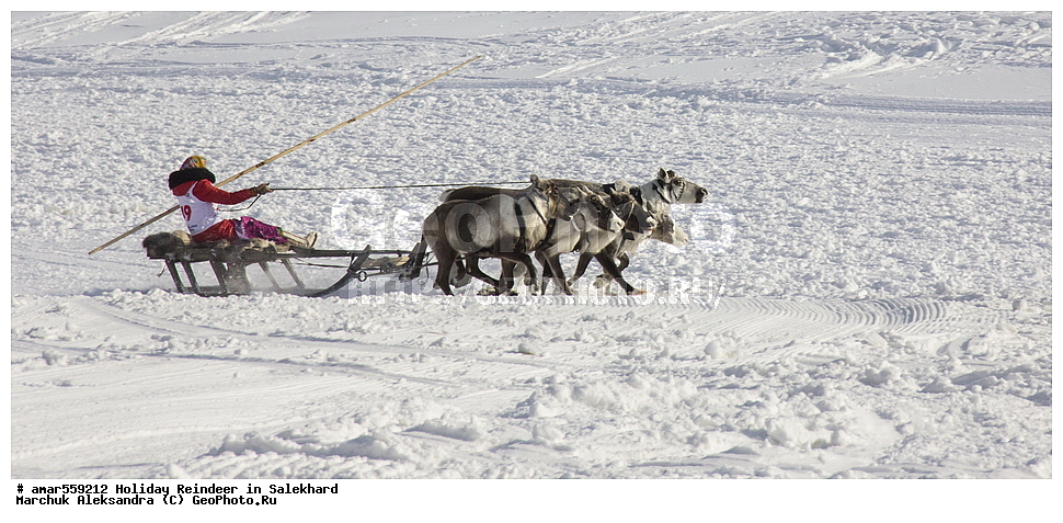  �������� ����, ������, ��������, �����, ����, ����� ����� �� ������, ����, ������, �� �������� ����, ������� �� ������ �����, ����, ����, ����, ������������ ������, �������� ������, �����, ������, ���������, ������ �������, �������� ����, ��������, �������� ���������, �������� ������, �������� ���������, �������, �������, �����, �����, ���, ����, ������