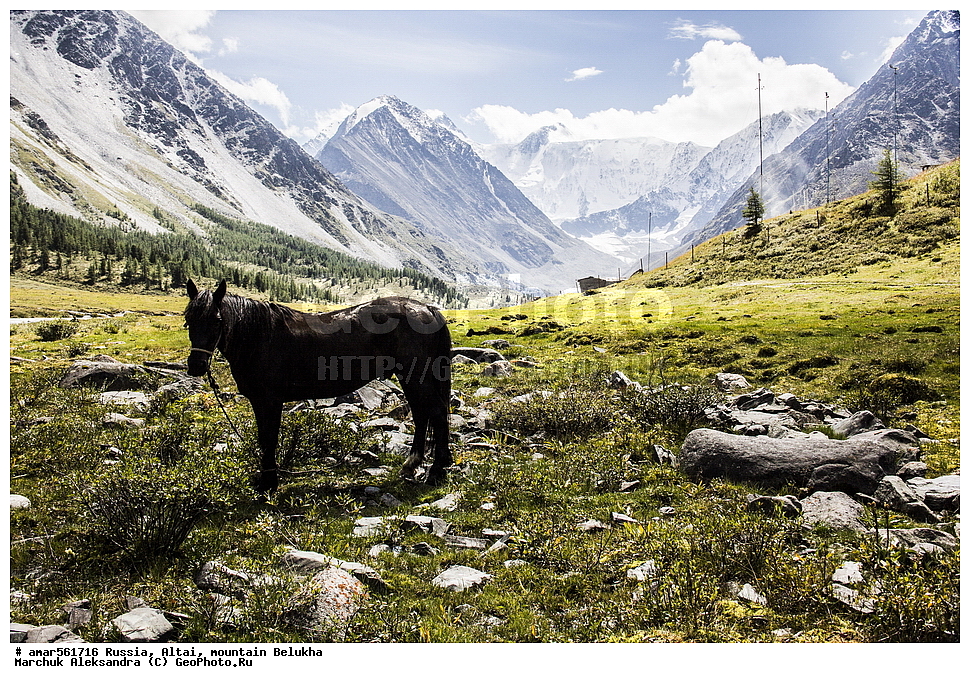  ��������� �����, ��������� ����� ������, �����, ������, ������ �����, ������, ����� �����, ���� ������, ������ ������, ����, ����������� �������, ����������� ����, ������, ������������, ������, ����, ���� � �����, ��������