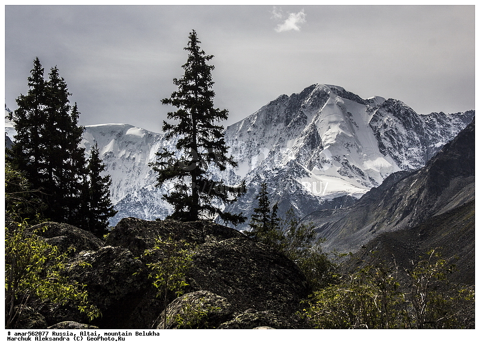  ��������� �����, ��������� ����� ������, �����, ������, ������ �����, ������ �����, ������, ����� �����, ���� ������, ������ ������, ����, ����������� �������, ����������� ����, ������, ��� 20-����� �������, ����, ���� � �����, ��������