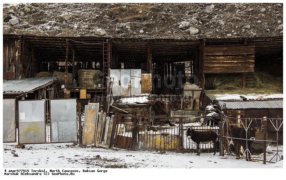  ������, ���������� ������, ���������-��������, ������, ������, �������, ������ ����, ���������, ������, �������, ����, ������, �����, �����, ����, ���� �������, �����, �����, �������� ������, ���������, �����