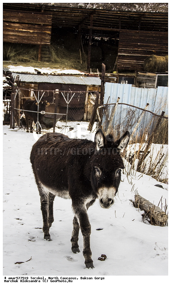  ������, ���������� ������, ���������-��������, ������, ������, �������, ������ ����, ���������, ������, �������, ����, ������, �����, �����, ����, ���� �������, �����, �����, �������� ������, ���������, �����