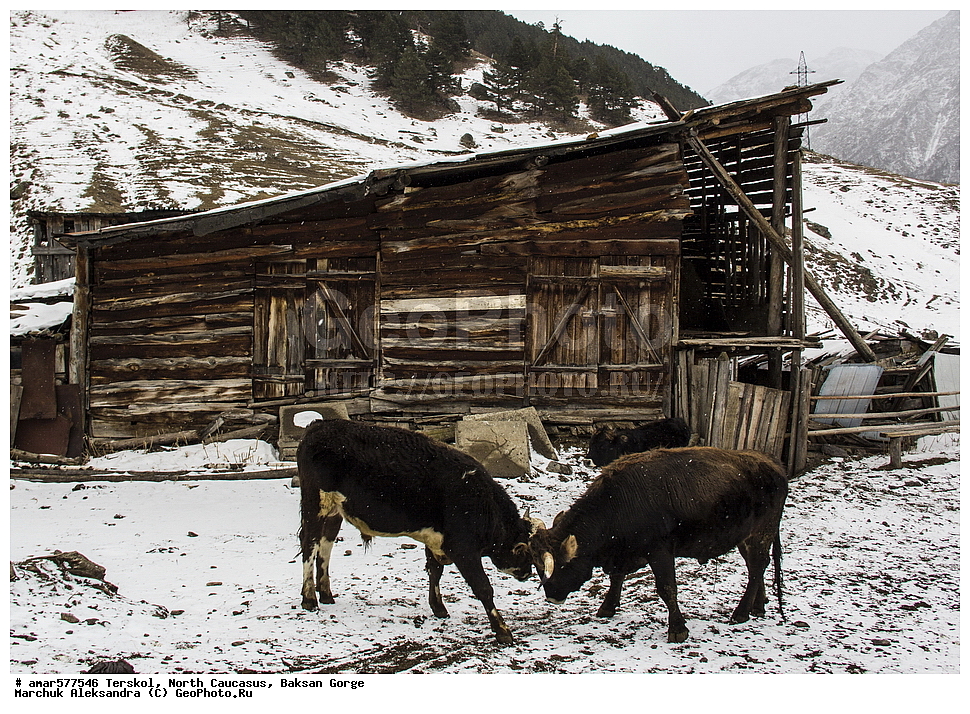  ������, ���������� ������, ���������-��������, ������, ������, �������, ������ ����, ���������, ������, �������, ����, ������, �����, �����, ����, ���� �������, �����, �����, �������� ������, ���������, �����