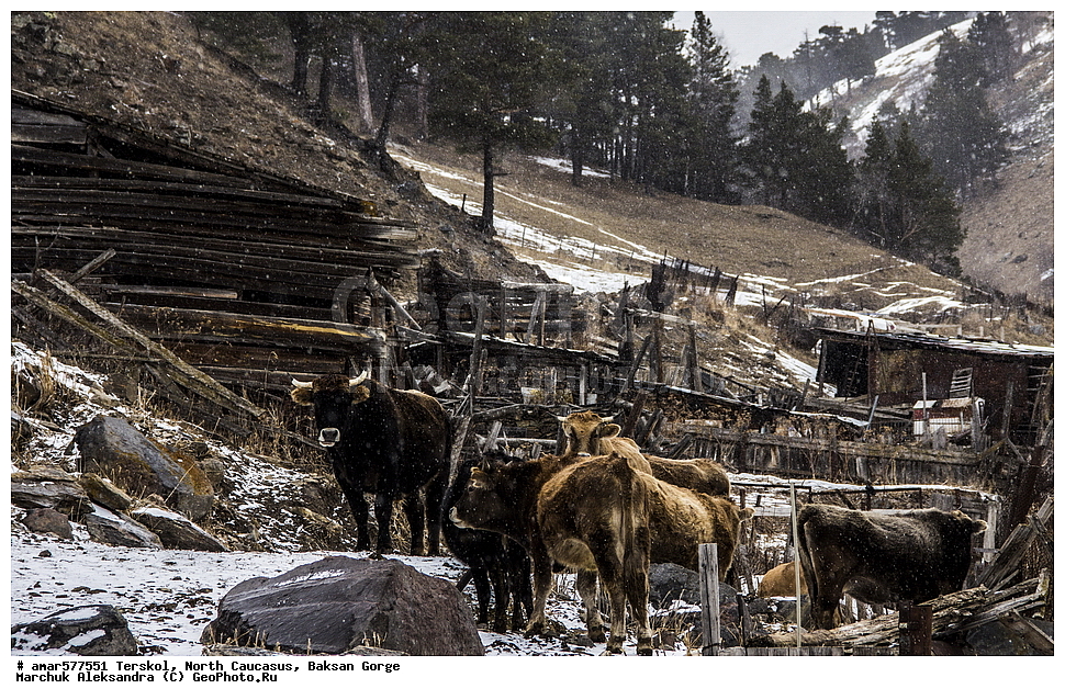  ������, ���������� ������, ���������-��������, ������, ������, �������, ������ ����, ���������, ������, �������, ����, ������, �����, �����, ����, ���� �������, �����, �����, �������� ������, ���������, �����