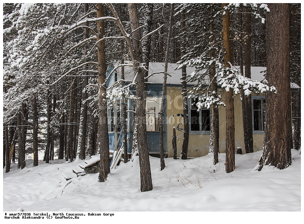  ������, ���������� ������, ���������-��������, ������, ������, �������� ������, �������, �������, ����� ������ ������, ����, ������ ����, ������, ����������� �������, ����������� ����, ����, ������, ������, ����, ���� � �����