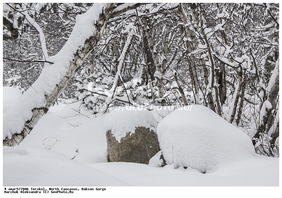  ������, ���������� ������, ���������� ���, ������, ������, �������� ������, �������, ����, ����������� �����, ����, �����, ����� � �����, ���, ������, ���� ������, ����, ���� � �����, ��������