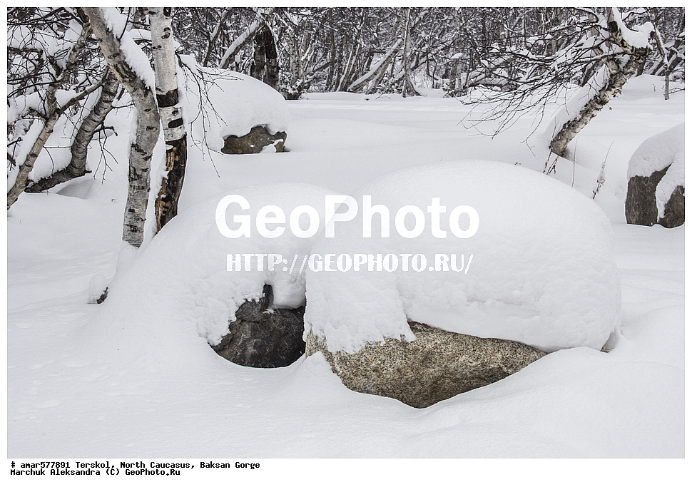  ������, ���������� ������, ���������� ���, ������, ������, �������� ������, �������, ����, ����������� �����, ����, �����, ����� � �����, ���, ������, ���� ������, ����, ���� � �����, ��������