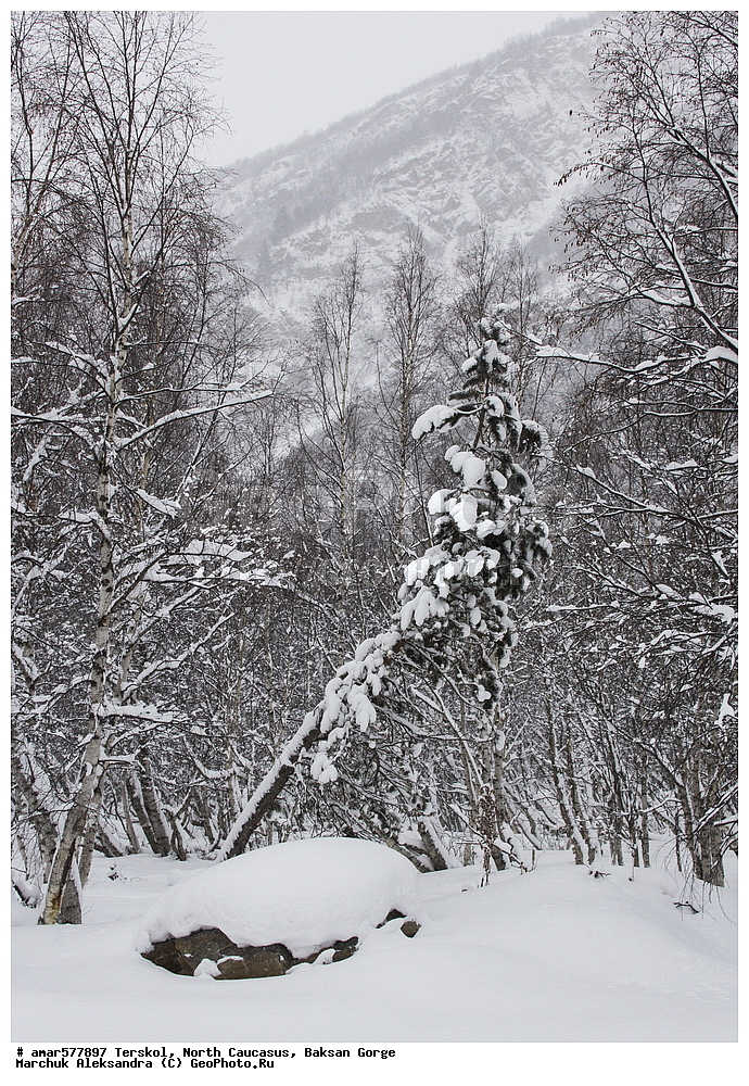  ������, ���������� ������, ���������� ���, ������, ������, �������� ������, �������, ����, ����������� �����, ����, �����, ����� � �����, ���, ������, ���� ������, ����, ���� � �����, ��������