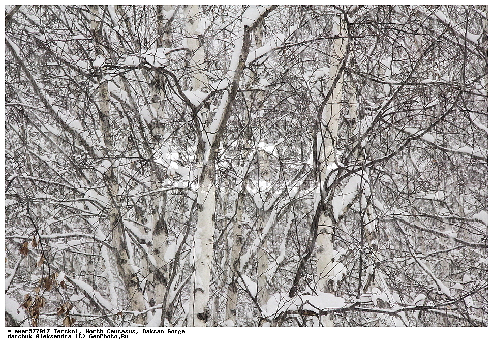  ������, ���������� ������, ���������� ���, ������, ������, �������� ������, �������, ����, ����������� �����, ����, �����, ����� � �����, ���, ������, ���� ������, ����, ���� � �����, ��������