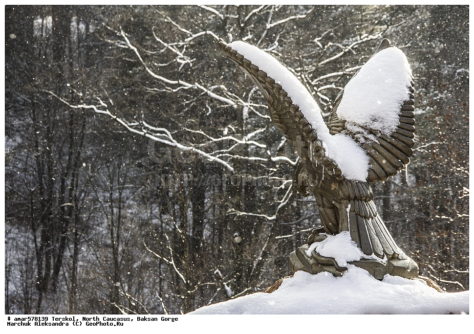 �������, �������� ������, ���������� �����, ����������