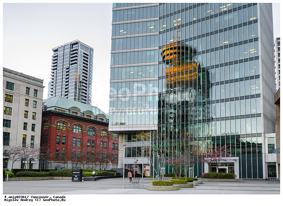 ��������, ������, �����, �����������, ��������� �����������, ������, ����, ���������, ���������, ����������, ���, ��������������, �����