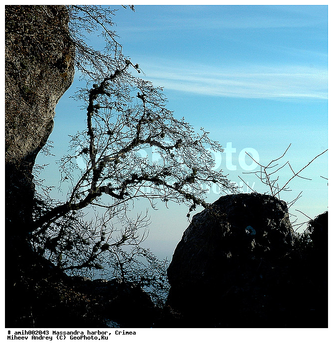 ����, ���������, �������, ������������ ���������, ����, ������, ����