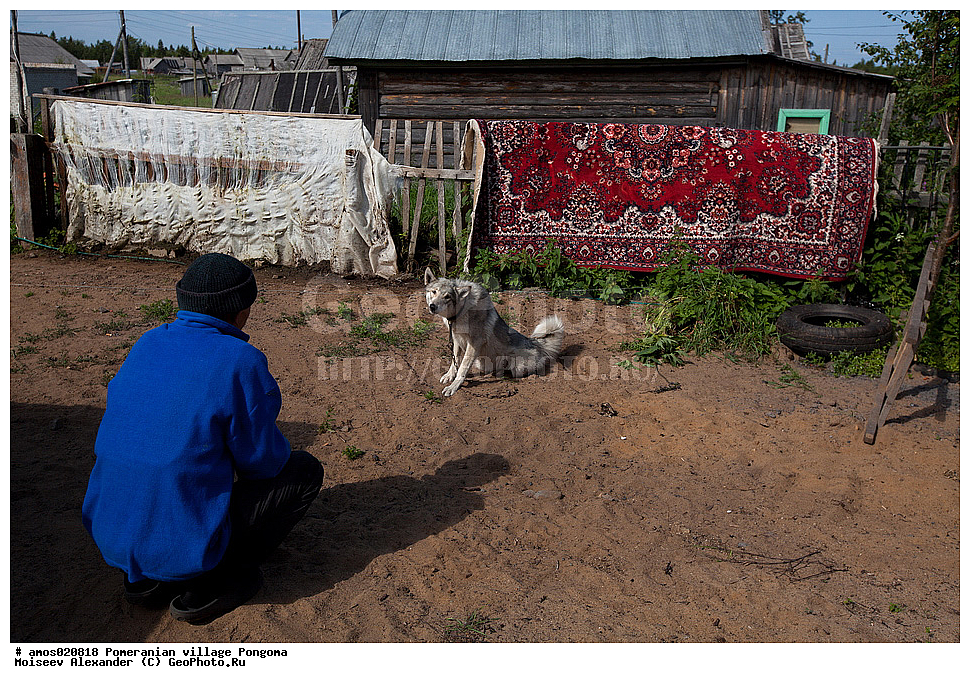 ��������� �������, �������, ��������, ������, �����, ������