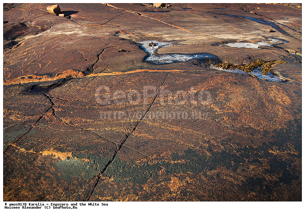 �������, ��������, ����� ����, ����, ������, ����, �����, �����, ���, �������