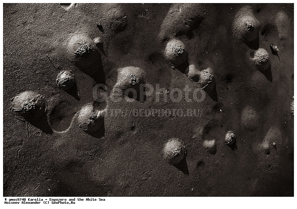 �������, ��������, ����� ����, ����, ������, ����, �����, ���, ����