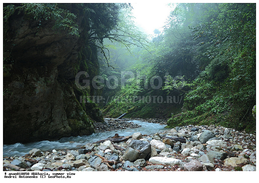 �������, ����������, ��������, ������, �����, �����, ������ �������, ����, ����, �������, �������, ������, ������, ���, ����, ������, ���, ���, �����, ���������� ���, �����������, ����, �����, �����, ��������, �����, ������