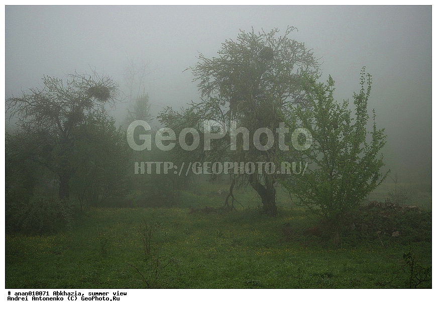 �������, ������ �������, ����, ���������� ���, ����� ���������, ����� ������� ���������, �����