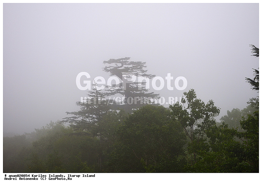 ����� ����, ������, ����������, ������� ������, ����� �����, ������ ������, �������