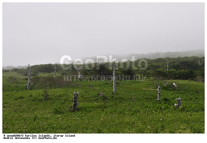 ����� ����, ������, ����������, ������� ������, ����� �����, ������ ������, �������