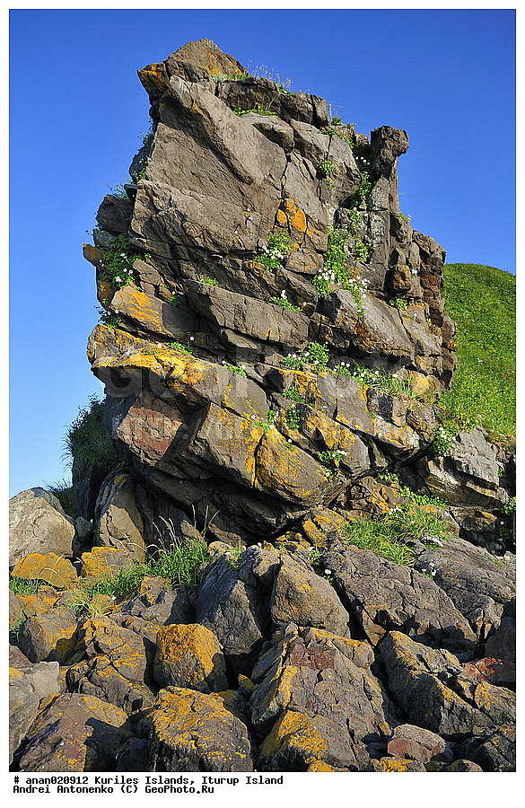 ����� ����, ������, ����������, ������� ������ ������, ������� ������ ��������, ����� �����, ������, �����, ����, �������, ������, ����, ������, ����, ���, ������ ������, �������, ������, �������, �����, �����