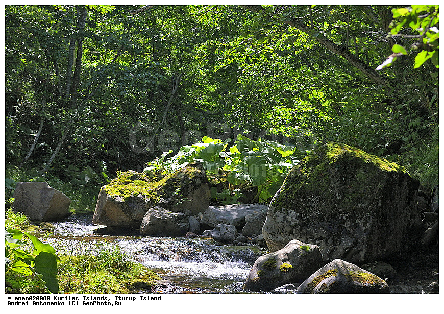 ����� ����, ������, ����������, ������� ������ ������, ������� ������ �������, ����� �����, ������, ������, ����, ����������, �������, ������, �����, ����, ������ ������, �������, ������, �������, ����, �����, �������