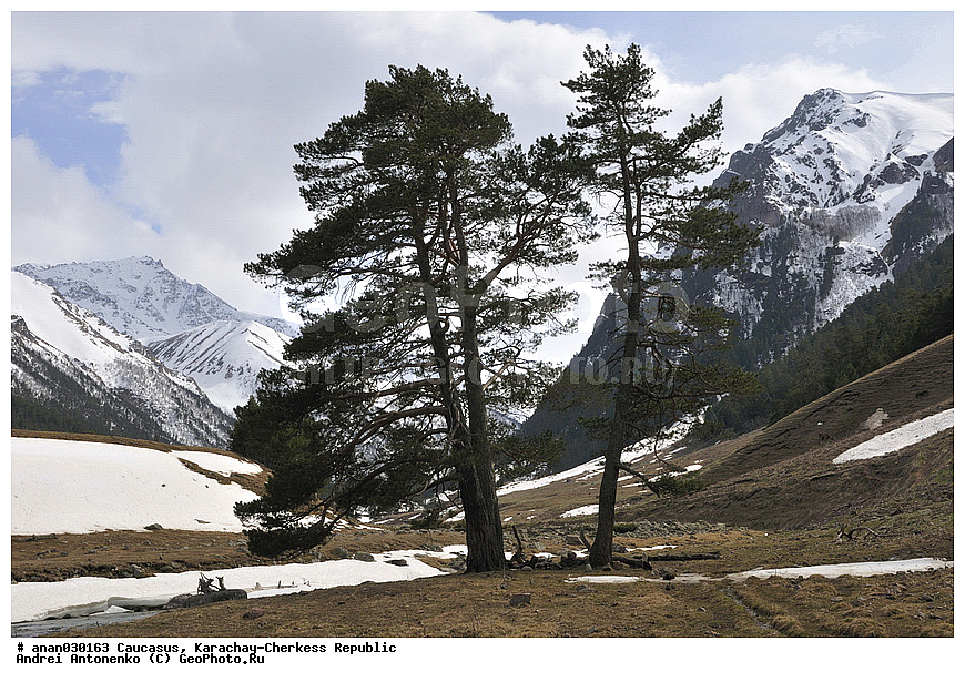 ������, ���������-��������, �����