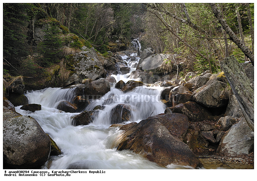 ������, ���������-��������, �����