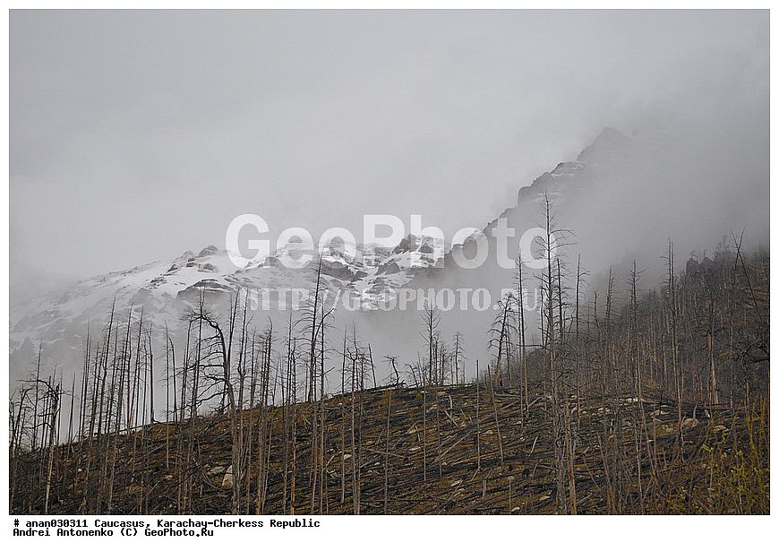 ������, ���������-��������, �����