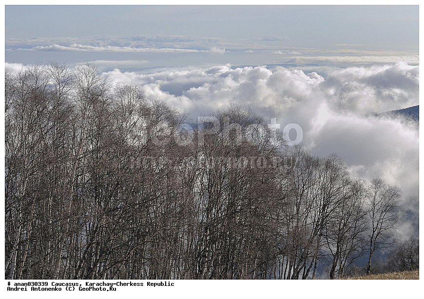 ������, ���������-��������, �����