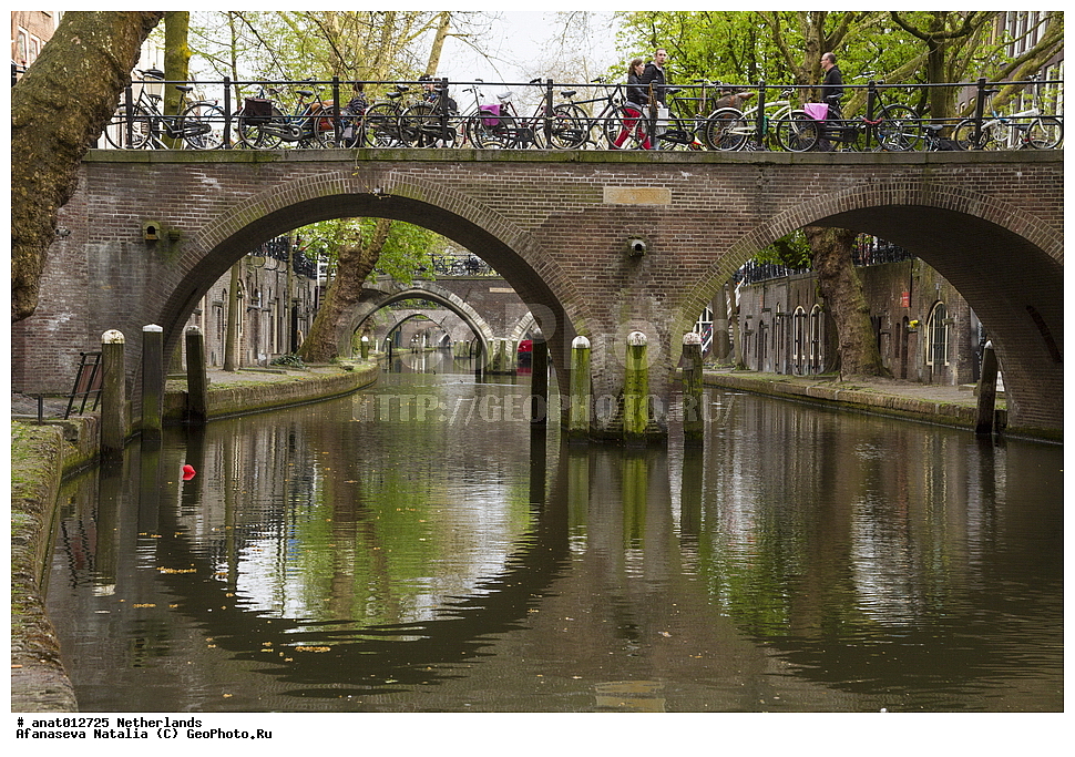 ����������, ������, ������ ������ ����� ������