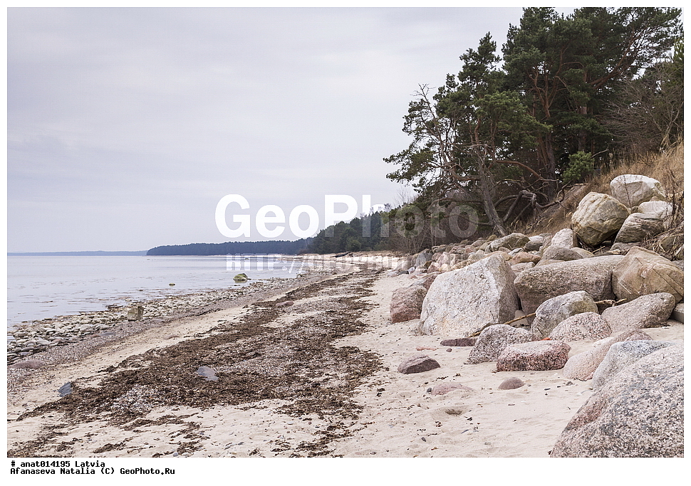 ������, ��� �����, ��������� ����������� ����, ������ � �����