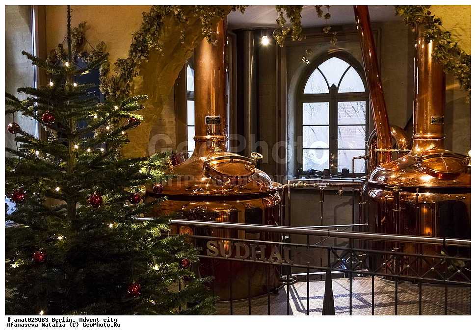 ���������, ���������, ������