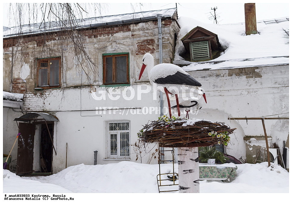 ��������, ������, ������ ���, ����