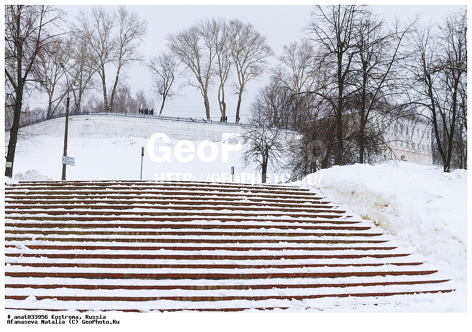 ��������, ������, ����, ��������