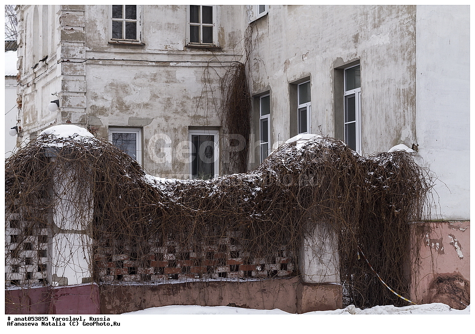 ���������, ������, ������ ���, ����� � ����� ����������