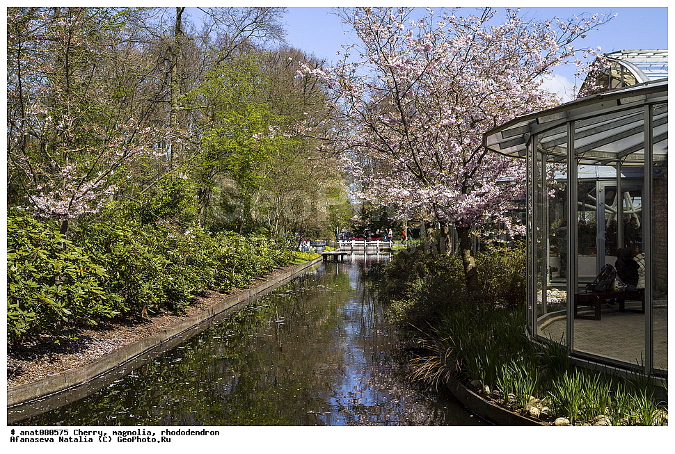 �����, ��������,�����, ��������, ������ �����, �������� ���