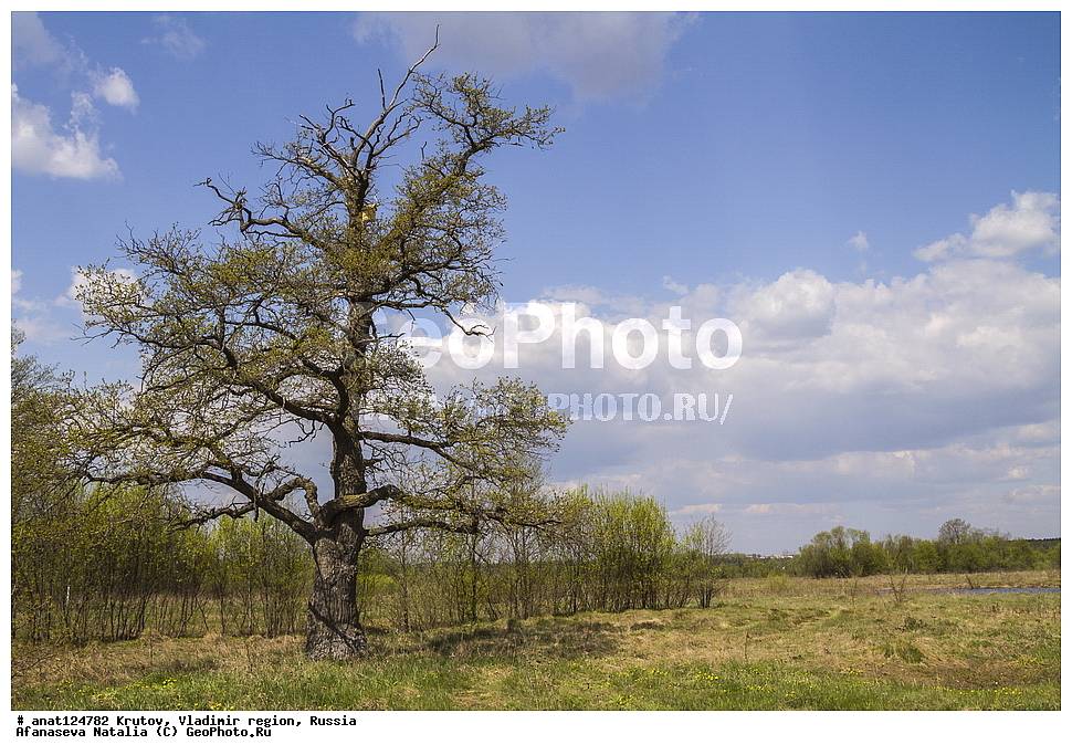 �������, ������������ �������, ������, �������� ������, ���, ����, ����������