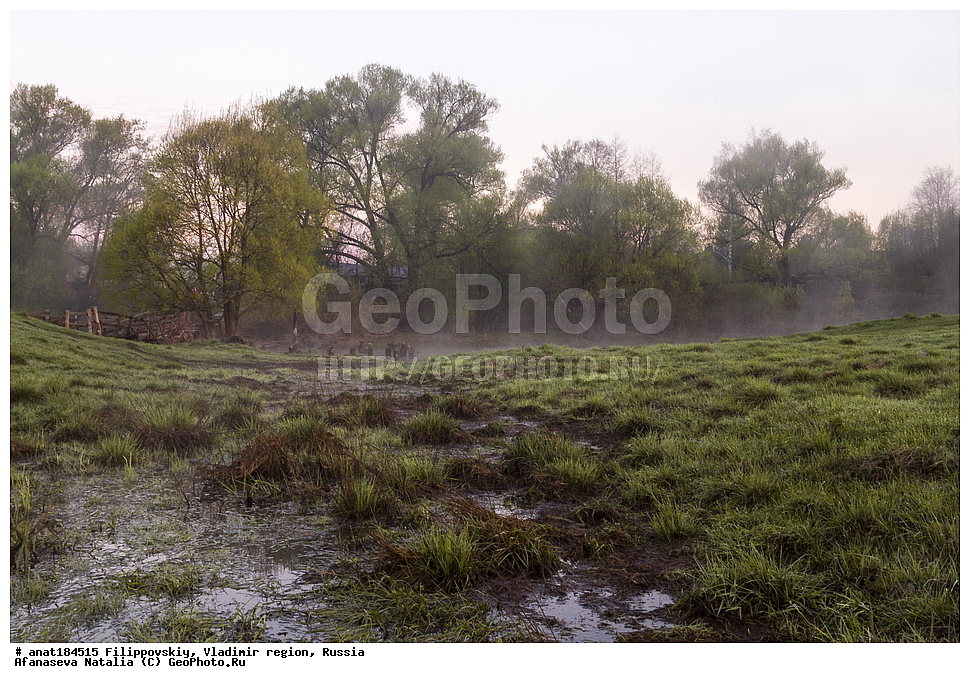 ������������, ������������ �������, ������, ��������, ������, �������, ������ ������, �����