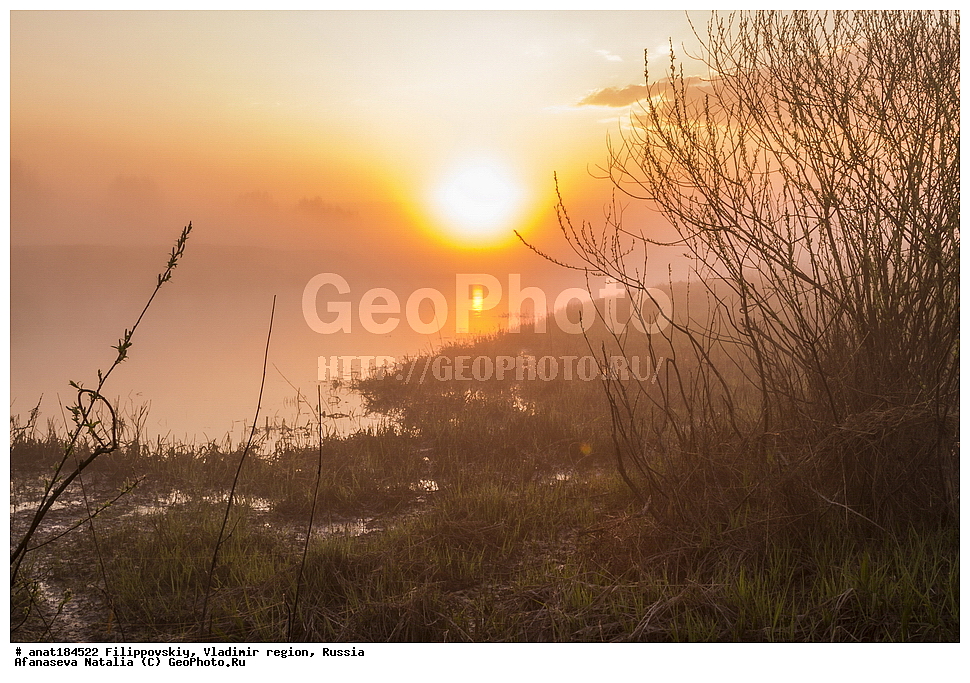 ������������, ������������ �������, ������, ��������, ������, �������, ����, ������ ������, �����