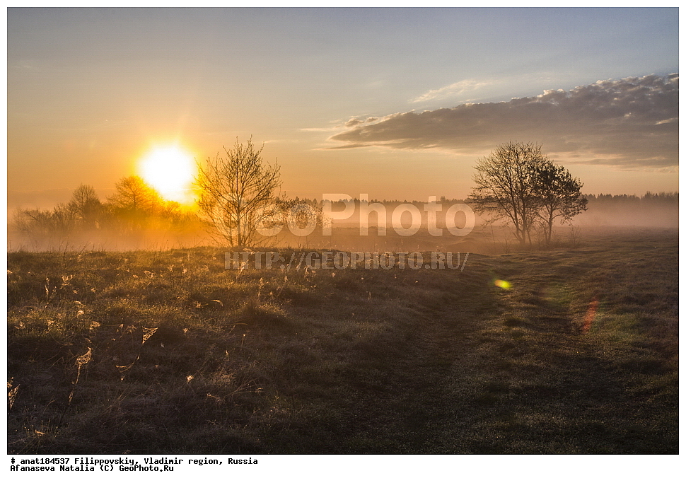 ������������, ������������ �������, ������, ��������, ������, �������, ������ ������, �����