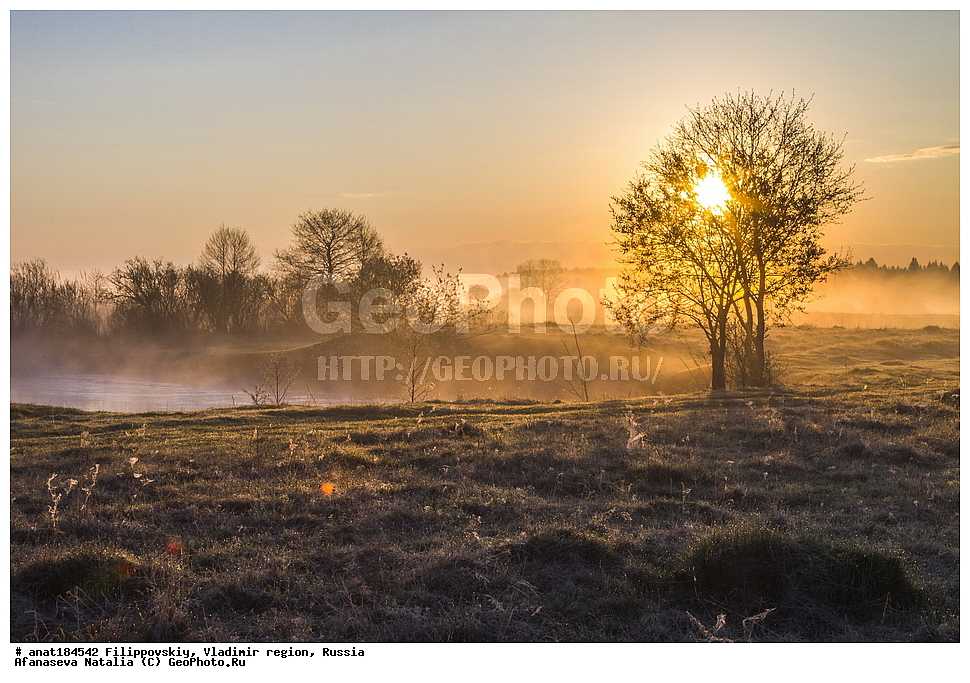 ������������, ������������ �������, ������, ��������, ������, �������, ������ ������, �����