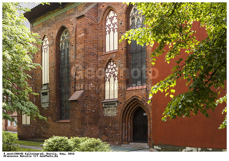 �����������, ������, �����, ��������, �������������, ������