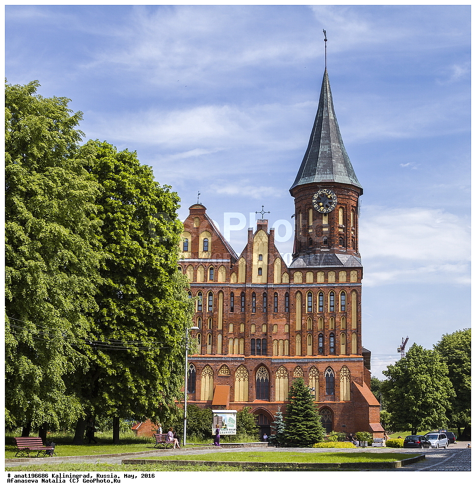 �����������, ������������, �����