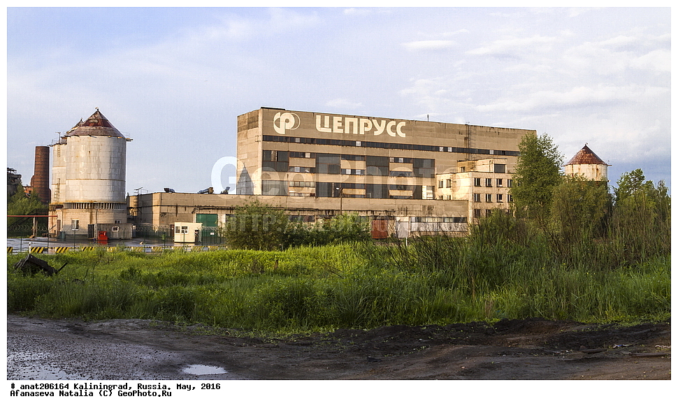 �����������, �����������, ����������-��������, �����, ������