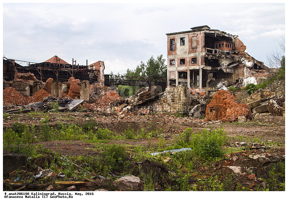 �����������, �����������, ����������-��������, �����, ������