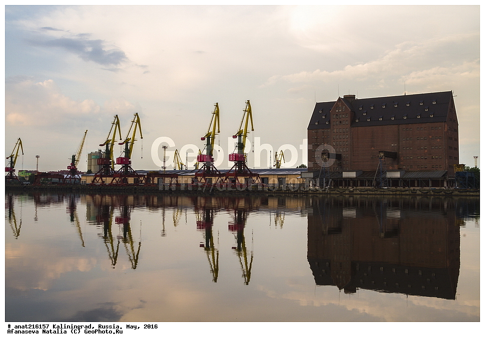 �����������, ����