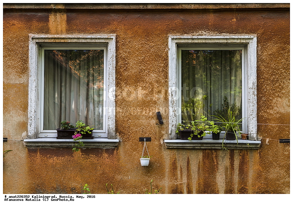 �����������, �����, ������