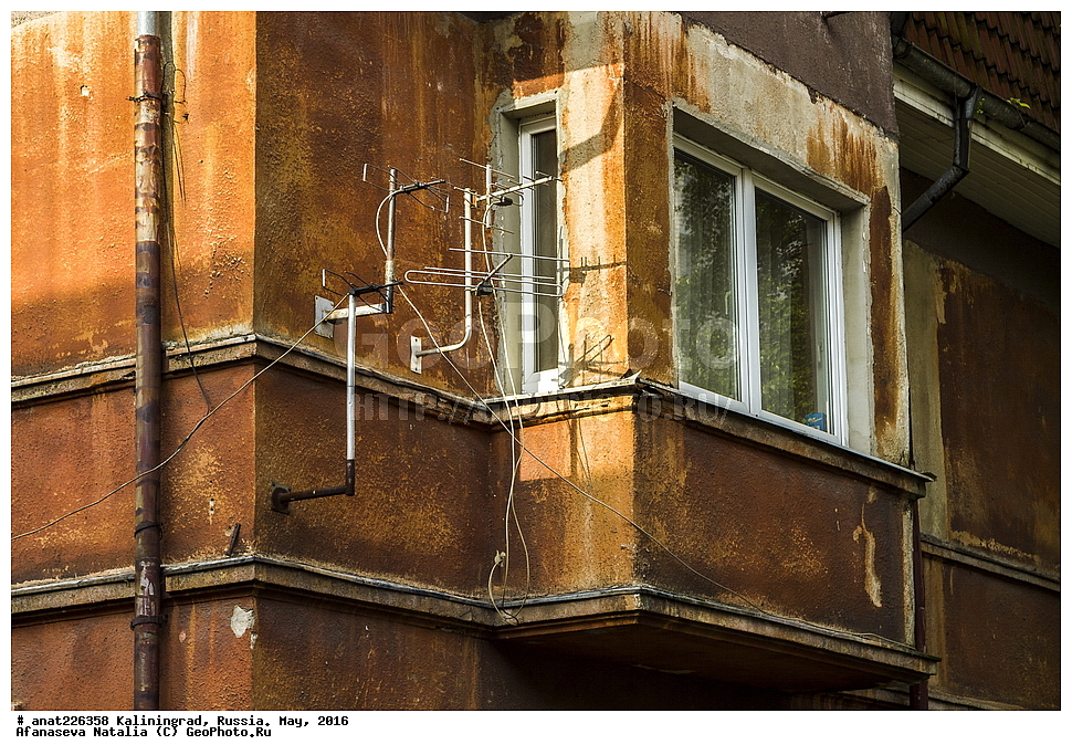 �����������, �����, ������