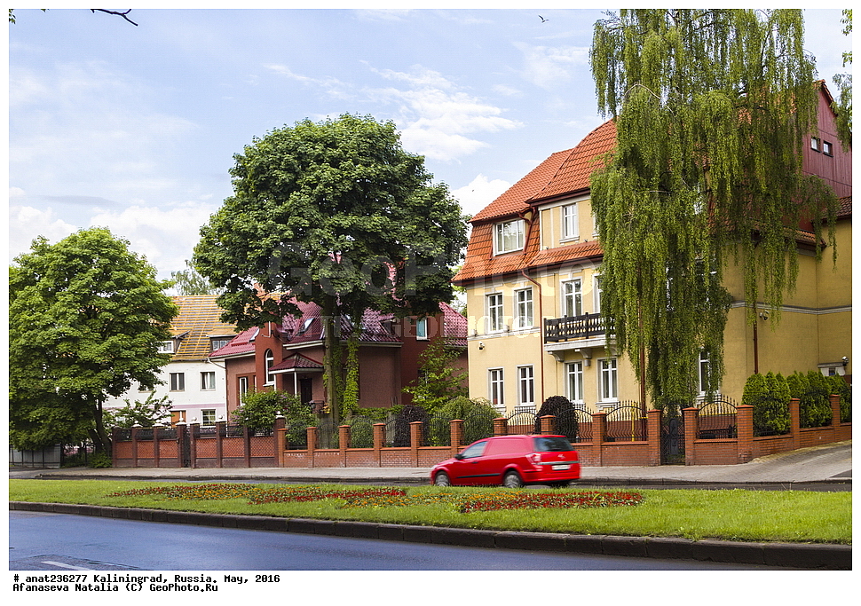 �����������, �����, ���������