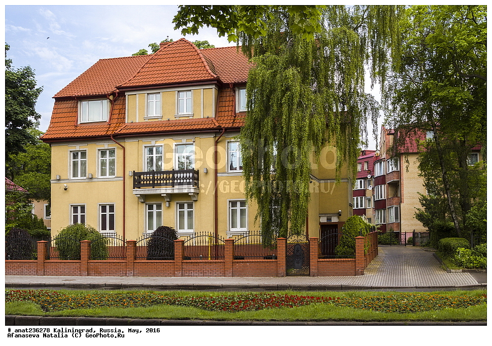 �����������, �����, ���������